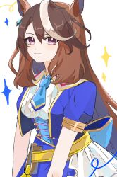 symboli rudolf (umamusume) from umamusume