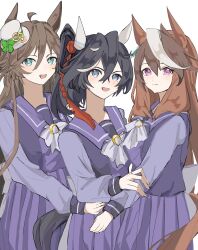 katsuragi ace (umamusume) from umamusume