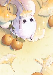 brushbuddy from tongari boushi no atelier