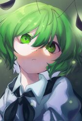 wriggle nightbug from touhou