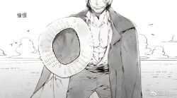 shanks (one piece) from one piece