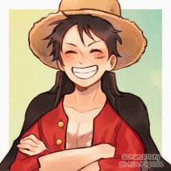 monkey d. luffy from one piece