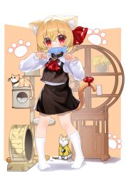 rumia from touhou