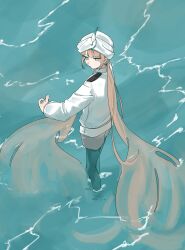nemo (fate) from fate/grand order