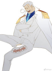monkey d. garp from one piece