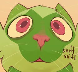sprigatito from pokemon