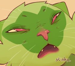 sprigatito from pokemon