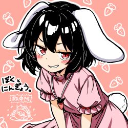 inaba tewi from touhou