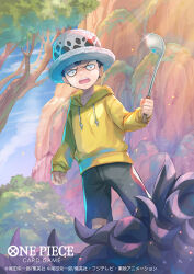 donquixote rocinante from one piece