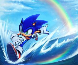 sonic the hedgehog from sonic (series)