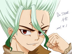 ishigami senkuu from dr. stone