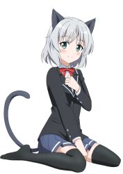 strike witches fan art