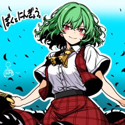 kazami yuuka from touhou