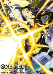 one piece fan art