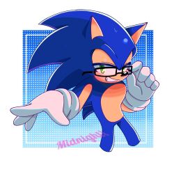 sonic the hedgehog from sonic (series)