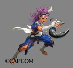 street fighter fan art