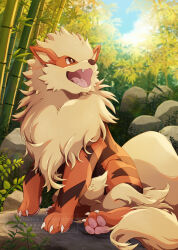 arcanine from pokemon by kechon-san