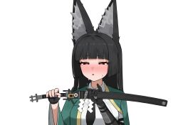 hoshimi miyabi from zenless zone zero by flasso