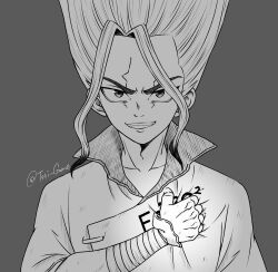 ishigami senkuu from dr. stone