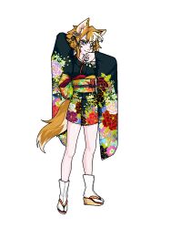gorou (genshin impact) from genshin impact
