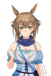 mutsu (kancolle) from kantai collection