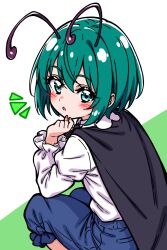 wriggle nightbug from touhou
