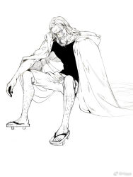silvers rayleigh from one piece