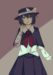 usami renko from touhou