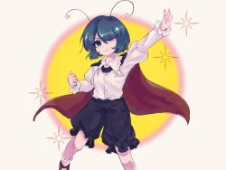 wriggle nightbug from touhou