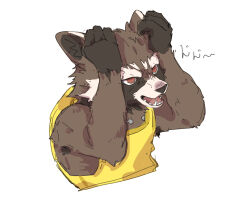 rocket raccoon from guardians of the galaxy