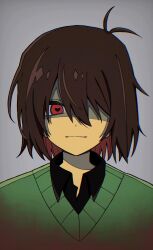 kris (deltarune) from deltarune