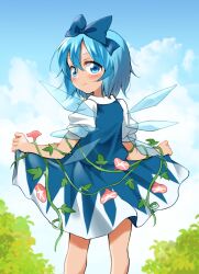 cirno from touhou by nanana (chicken union)