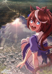 tokai teio (umamusume) from umamusume