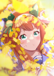 silence suzuka (umamusume) from umamusume