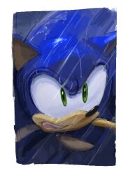 sonic the hedgehog from sonic (series)