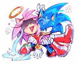 amy rose from sonic (series)
