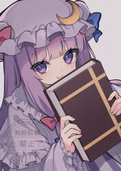 patchouli knowledge from touhou
