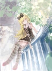 oshino shinobu from monogatari (series)