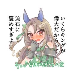 king halo (umamusume) from umamusume