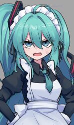 hatsune miku from vocaloid