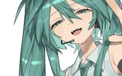 hatsune miku from vocaloid