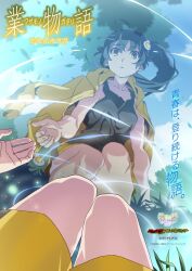 araragi karen from monogatari (series)