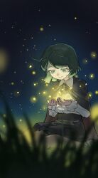 wriggle nightbug from touhou
