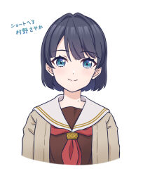 murano sayaka from love live! by akihitohappy