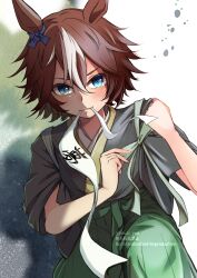 bamboo memory (umamusume) from umamusume
