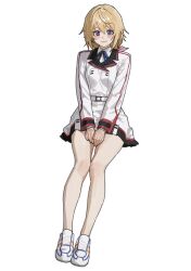 charlotte dunois from infinite stratos