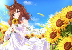 buena vista (umamusume) from umamusume
