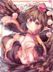 shameimaru aya from touhou
