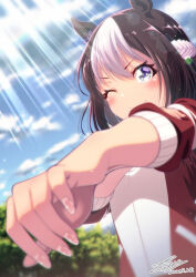 special week (umamusume) from umamusume