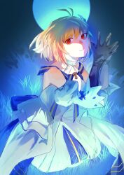 arcueid brunestud from fate/grand order